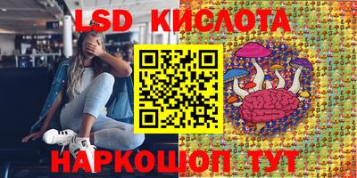 крисы Абакан