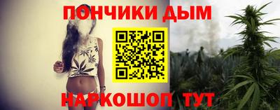 крисы Абакан