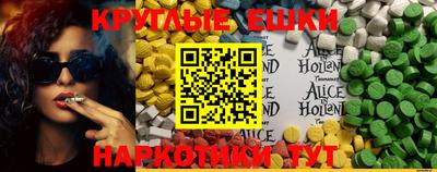 крисы Абакан
