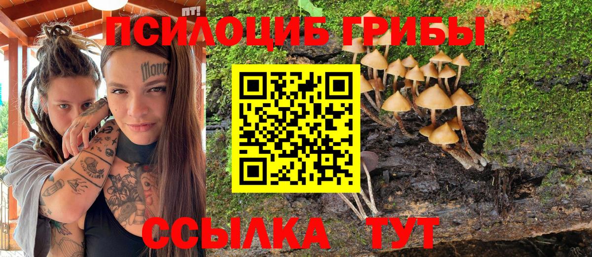 Анжеро-Судженск  Галлюциногенные грибы Psilocybine cubensis  где купить   Вход с VPN 